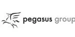 pegasus poleca www.euro-konsulting.pl