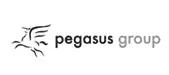pegasus poleca www.euro-konsulting.pl