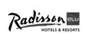 radisson poleca www.euro-konsulting.pl