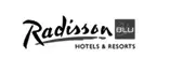 radisson poleca www.euro-konsulting.pl